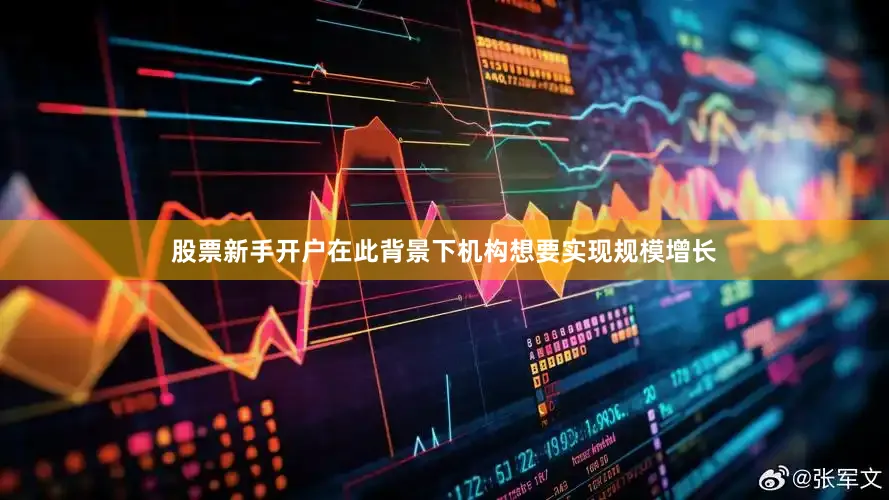股票新手开户在此背景下机构想要实现规模增长