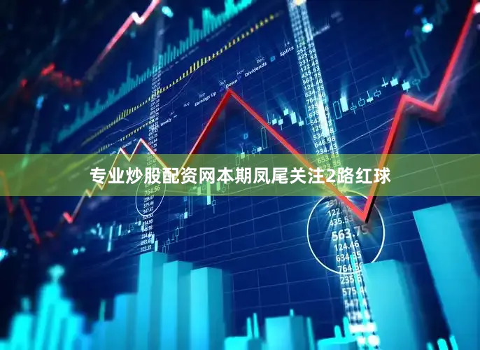 专业炒股配资网本期凤尾关注2路红球