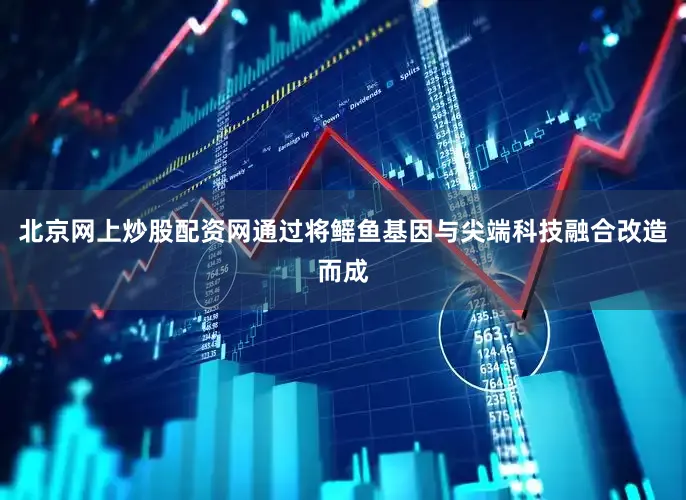 北京网上炒股配资网通过将鳐鱼基因与尖端科技融合改造而成